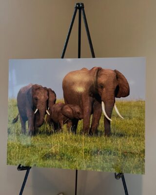 498290562_18279588622264775_653120750129890917_n