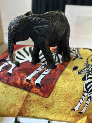 555741741_1122819783298306_4658970916285970858_n