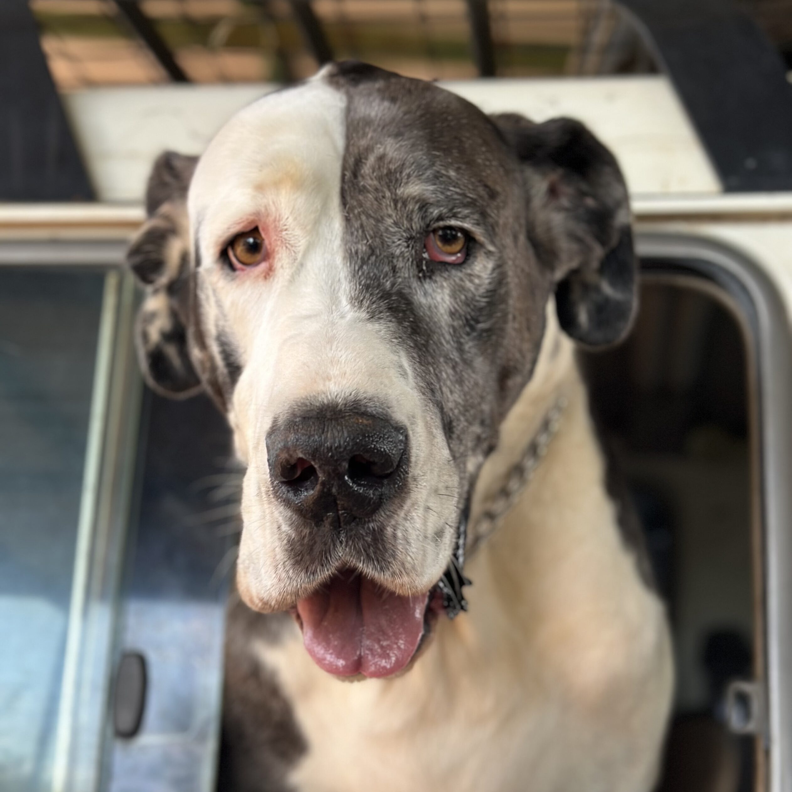 IMG_9512 (2) IMG_9512 (2)